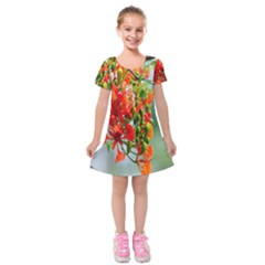 Gathering Sping Flowers Wallpapers Kids  Short Sleeve Velvet Dress by artworkshop