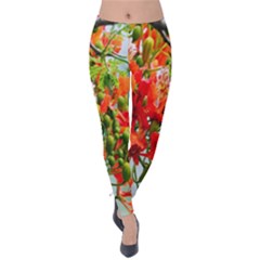 Gathering Sping Flowers Wallpapers Velvet Leggings by artworkshop