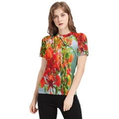 Gathering Sping Flowers Wallpapers Women s Short Sleeve Rash Guard by artworkshop