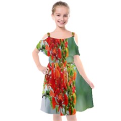 Gathering Sping Flowers Wallpapers Kids  Cut Out Shoulders Chiffon Dress by artworkshop