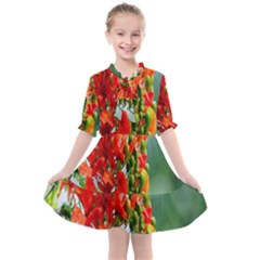 Gathering Sping Flowers Wallpapers Kids  All Frills Chiffon Dress by artworkshop