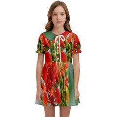 Gathering Sping Flowers Wallpapers Kids  Sweet Collar Dress by artworkshop