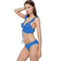 Bright Navy Blue	 - 	Low Cut Ruffle Edge Bikini Set View2