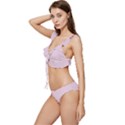 Cherry Blossom Pink	 - 	Low Cut Ruffle Edge Bikini Set View2