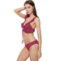 Big Dip Ruby Red	 - 	Low Cut Ruffle Edge Bikini Set View2