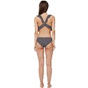 Vampire Grey	 - 	Low Cut Ruffle Edge Bikini Set View4