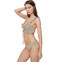 Warm Sand	 - 	Low Cut Ruffle Edge Bikini Set View2