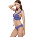 Blue Iris	 - 	Low Cut Ruffle Edge Bikini Set View2