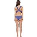 Blue Iris	 - 	Low Cut Ruffle Edge Bikini Set View4