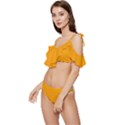 Orange Peel	 - 	Ruffle Edge Tie Up Bikini Set View2