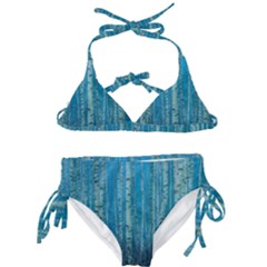 Forest Birch Nature Autumn Masuria Kids  Classic Bikini Set by Ravend