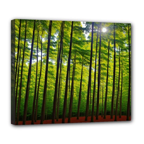 Green Forest Jungle Trees Nature Sunny Deluxe Canvas 24  X 20  (stretched) by Ravend