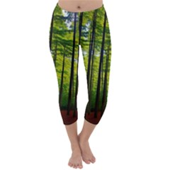 Green Forest Jungle Trees Nature Sunny Capri Winter Leggings  by Ravend