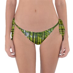 Green Forest Jungle Trees Nature Sunny Reversible Bikini Bottoms by Ravend