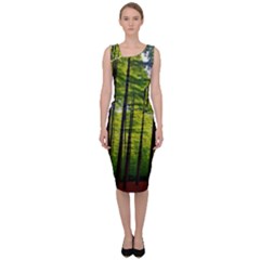 Green Forest Jungle Trees Nature Sunny Sleeveless Pencil Dress by Ravend