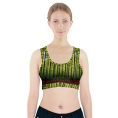 Green Forest Jungle Trees Nature Sunny Sports Bra With Pocket by Ravend