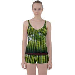 Green Forest Jungle Trees Nature Sunny Tie Front Two Piece Tankini by Ravend