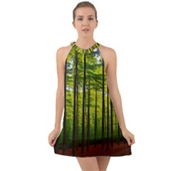 Green Forest Jungle Trees Nature Sunny Halter Tie Back Chiffon Dress by Ravend