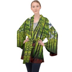 Green Forest Jungle Trees Nature Sunny Long Sleeve Velvet Kimono  by Ravend