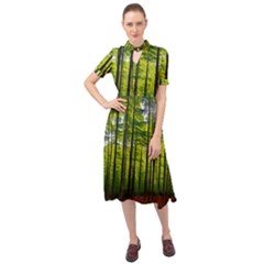 Green Forest Jungle Trees Nature Sunny Keyhole Neckline Chiffon Dress by Ravend