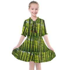 Green Forest Jungle Trees Nature Sunny Kids  All Frills Chiffon Dress by Ravend