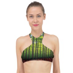 Green Forest Jungle Trees Nature Sunny High Neck Bikini Top by Ravend