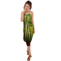 Green Forest Jungle Trees Nature Sunny Waist Tie Cover Up Chiffon Dress by Ravend