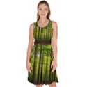 Green Forest Jungle Trees Nature Sunny Knee Length Skater Dress With Pockets View1