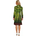 Green Forest Jungle Trees Nature Sunny Long Sleeve Shirt Collar A-Line Dress View4