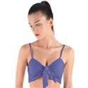 Blue Iris	 - 	Woven Tie Front Bralet View1