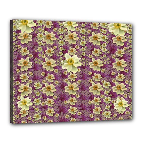 Lotus Flowers In Nature Will Always Bloom For Their Rare Beauty Canvas 20  X 16  (stretched) by pepitasart