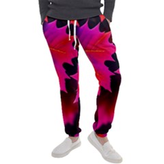 Leaves Purple Autumn Evening Sun Abstract Men s Jogger Sweatpants by Ravend