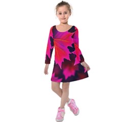 Leaves Purple Autumn Evening Sun Abstract Kids  Long Sleeve Velvet Dress by Ravend