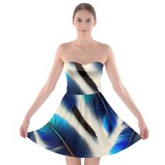 Feathers Pattern Design Blue Jay Texture Colors Strapless Bra Top Dress by Ravend