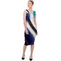 Feathers Pattern Design Blue Jay Texture Colors Sleeveless Pencil Dress View3