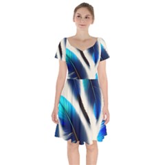 Feathers Pattern Design Blue Jay Texture Colors Short Sleeve Bardot Dress by Ravend