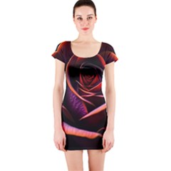 Purple Flower Rose Flower Black Background Short Sleeve Bodycon Dress by Ravend