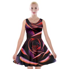 Purple Flower Rose Flower Black Background Velvet Skater Dress by Ravend