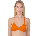 Heat Wave Orange	 - 	Reversible Tri Bikini Top View1