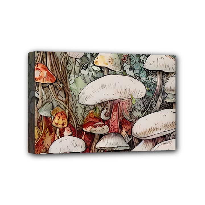 Magician s Toadstool Mini Canvas 6  x 4  (Stretched)