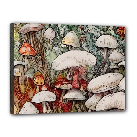 Magician s Toadstool Canvas 16  X 12  (stretched) by GardenOfOphir