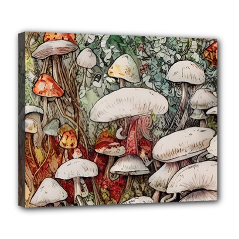 Magician s Toadstool Deluxe Canvas 24  X 20  (stretched)