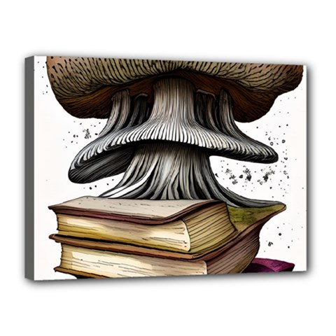 Conjurer s Toadstool Canvas 16  X 12  (stretched) by GardenOfOphir