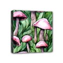 Charm Of The Toadstool Mini Canvas 4  x 4  (Stretched) View1