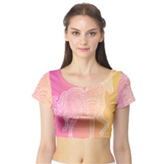 Unicorm Orange And Pink Short Sleeve Crop Top by lifestyleshopee