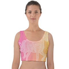 Unicorm Orange And Pink Velvet Crop Top by lifestyleshopee