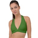 Light Seaweed Green	 - 	Halter Plunge Bikini Top View1