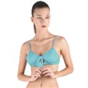 Northern Lights Blue	 - 	Tie Up Cut Bikini Top View1