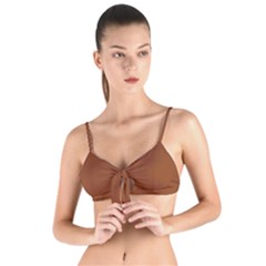 Sienna Brown	 - 	tie Up Cut Bikini Top by ColorfulSwimWear