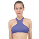 Blue Iris	 - 	High Neck Bikini Top View1